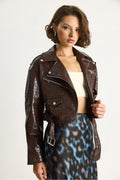 Bitter Brown Women Jacket